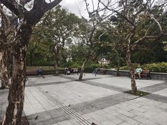 -九龙公园