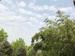 -西安青龙寺遗址景区