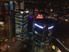 -金轩中餐厅 Jin Xuan(浦东丽思卡尔顿酒店)