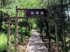 -磬锤峰森林公园