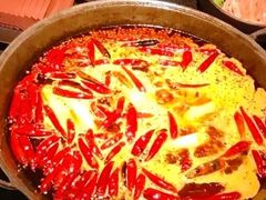 -星鸿社重庆老火锅