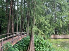 -东湖落雁景区