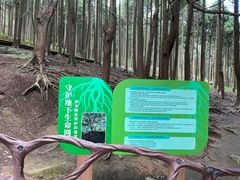 -含鄱口