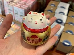 -猫咪博物馆(顶澳仔猫街店)