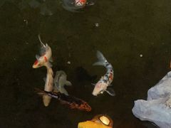 -道南書院·私房菜·早午茶·茶馆