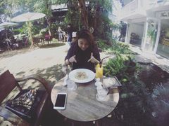 -Fern Forest Cafe
