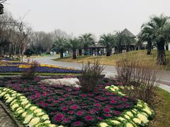 -南通洲际绿博园