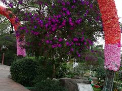 -松山湖南湖湾露营营地