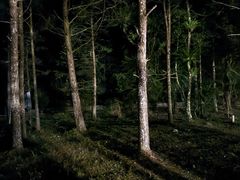 -海南热带雨林国家公园吊罗山景区