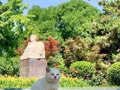-北京鲁迅博物馆(北京新文化运动纪念馆鲁博馆区)