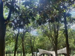 -洨河生态公园