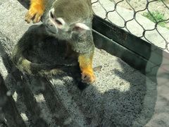 -新疆天山野生动物园