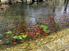 -水磨沟公园