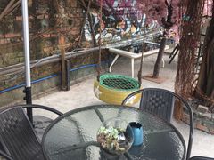 -柴犬高等学院·狗咖·柴犬售卖·宠物训练