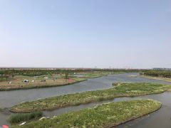 -春花秋色城市公园