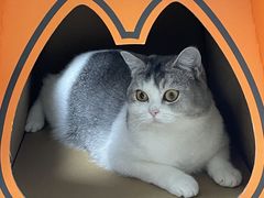 -烤匠麻辣烤鱼(IFS店)