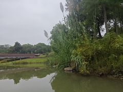 -狼山风景名胜区