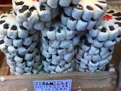 枣花酥-稻香村(前门公交站店)