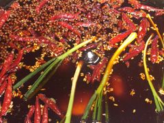 -骉骉老火锅(水杉街店)