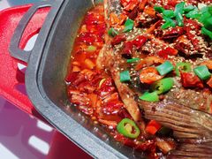-马邦子·紫苏烤鱼(恒隆广场店)