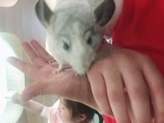 -藦茜花园宠物主题亲子互动体验馆(国顺东路店)