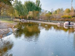 -群力丁香公园