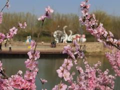 -东郊湿地公园