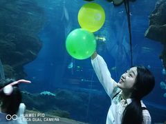 -石家庄海洋公园