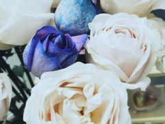 -昆明国际花卉拍卖交易中心