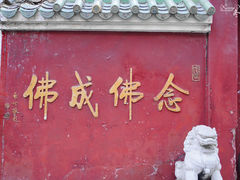 -华林禅寺