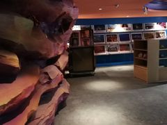 -青岛嘉年华主题乐园