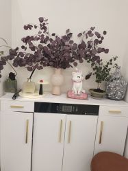 -WENDY·温迪皮肤管理