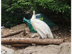 -大连老虎滩海洋公园