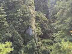 -苍山感通索道