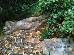 -杭州半山国家森林公园