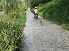 -隋唐大运河文化博物馆