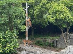 -宁波野生动物园