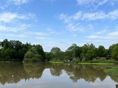 -桤木河湿地公园