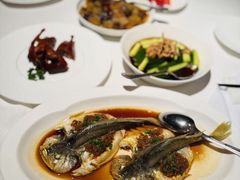 -悦海堂(金融街购物中心店)