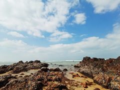 -海南棋子湾开元度假村·祺咖啡自助餐厅