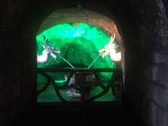 -青岛葡萄酒博物馆