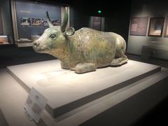 -宁夏博物馆