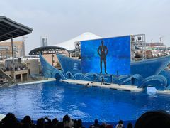 -上海海昌海洋公园