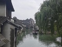 -乌镇西栅景区
