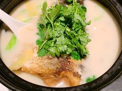 砂锅胜瓜豆腐鱼头汤-港丽餐厅(来福士店)