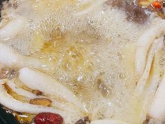 -江川野生菌火锅铜锅鱼(贵清火锅店)