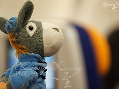 -德国汉莎航空公司