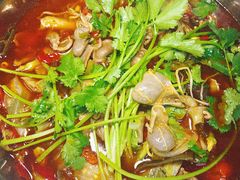 -胖娃古镇鸡杂(磁器口总店)