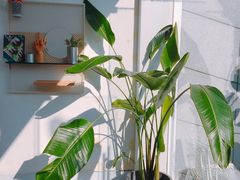 -UNI UNI(环亚凯瑟琳店)