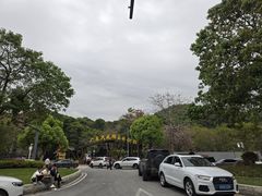 -天鹿湖森林公园